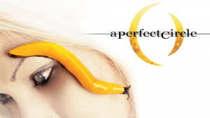 A Perfect Circle – Blue