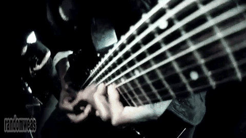 Animals As Leaders „CAFO“