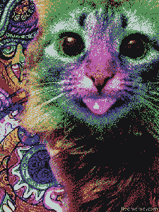 Catazy