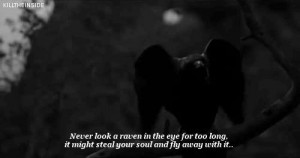 Never look a raven in the eye for too long. It might steal your soul and fly away with it.