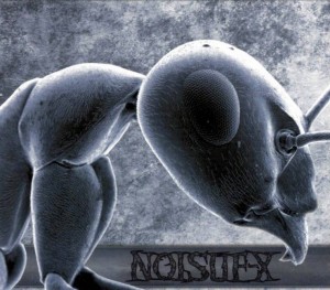 Noisuf-X – Hit Me Hard