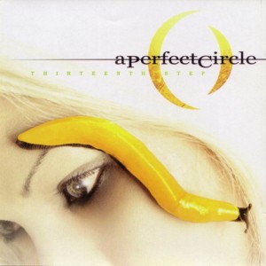 A Perfect Circle- Thirteenth Step