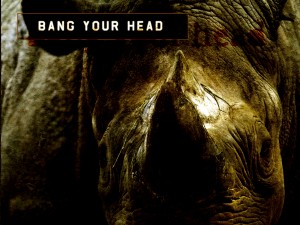 Dope Stars Inc. – Bang Your Head