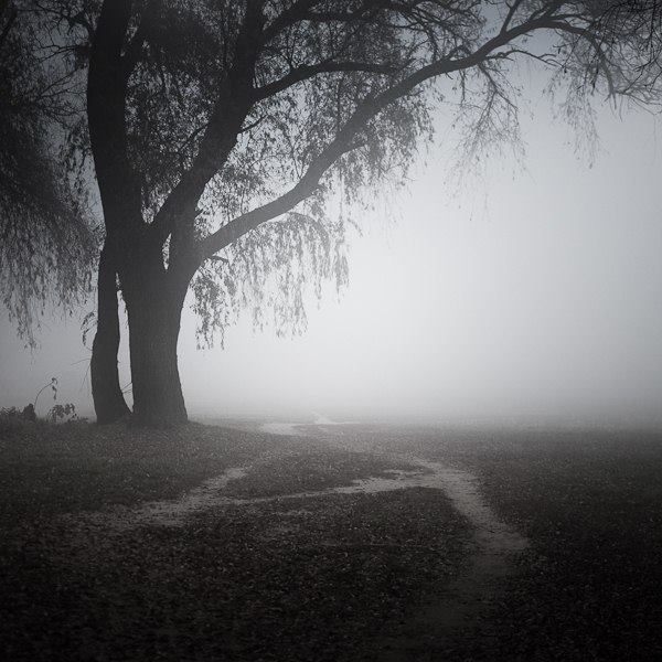 Zoltan Bekefy