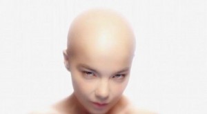 Bjork – Hunter (Skothus Mix Edit)