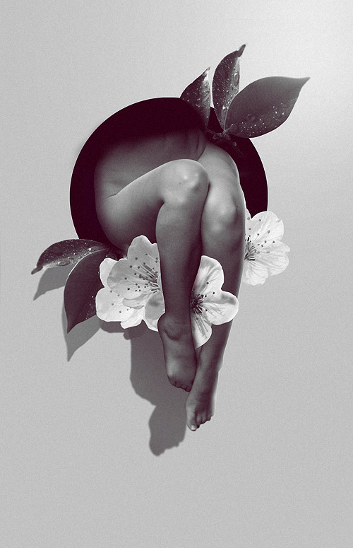 Digital Art by Bryce