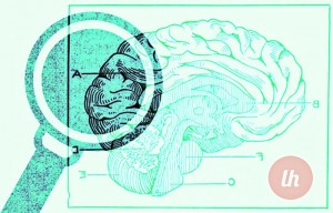 Удивителни факти за човешкото поведение – как хората оформят своите решения, мнения и желания