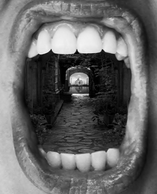 Thomas Barbey