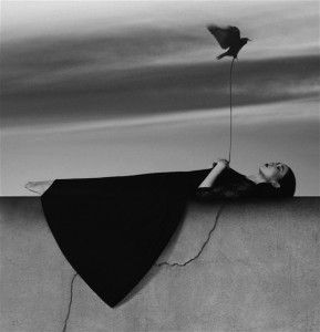 The surreal and mysterious world of Noell Oszvald