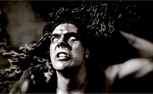 THE AMENTA – Teeth