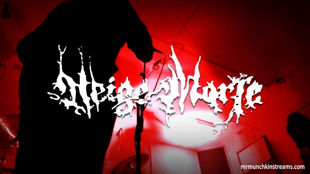 Neige Morte – Experimental Black Metal from Lyon France @ MrMunchkin Streams 10 March 2014