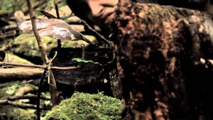 Infant Annihilator – Decapitation Fornication (OFFICIAL MUSIC VIDEO)