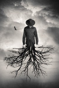 Tommy Ingberg Photography