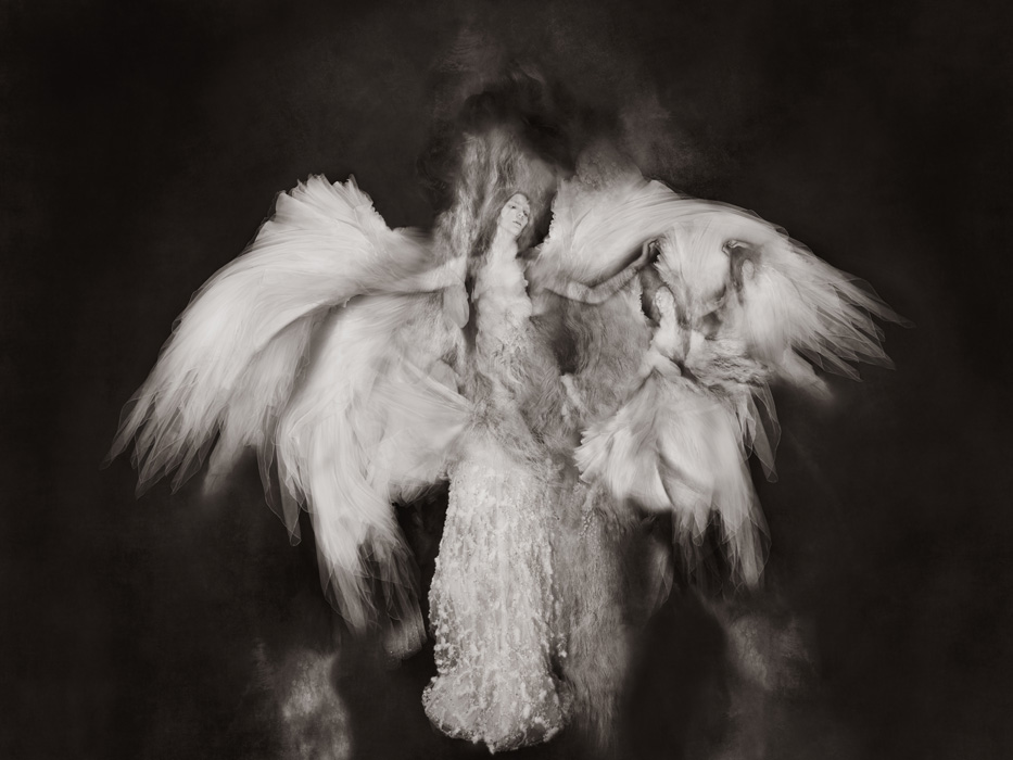 Thomas Devaux (Gallery 1)