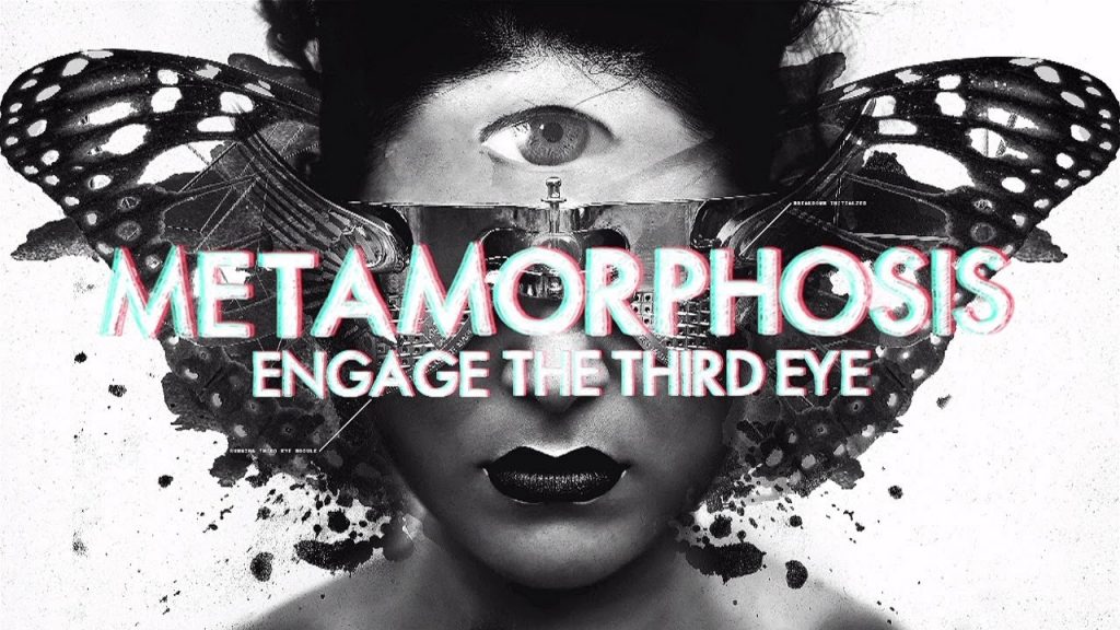 InsideInfo – Metamorphosis (feat. Miss Trouble) (Lyric Video)