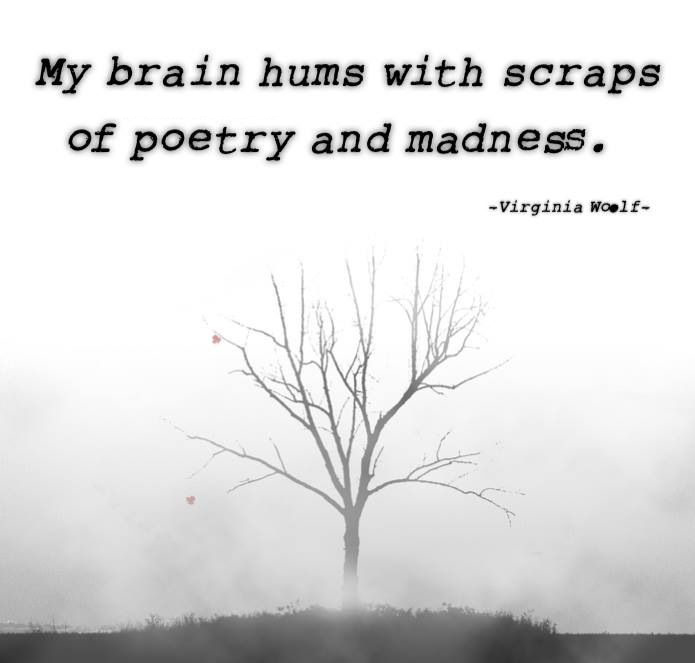 My brain hums with scraps of poetry and madness