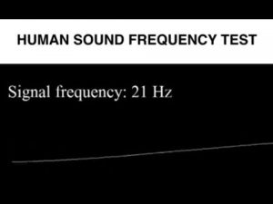 Human Sound Test – Physics-Astronomy.com